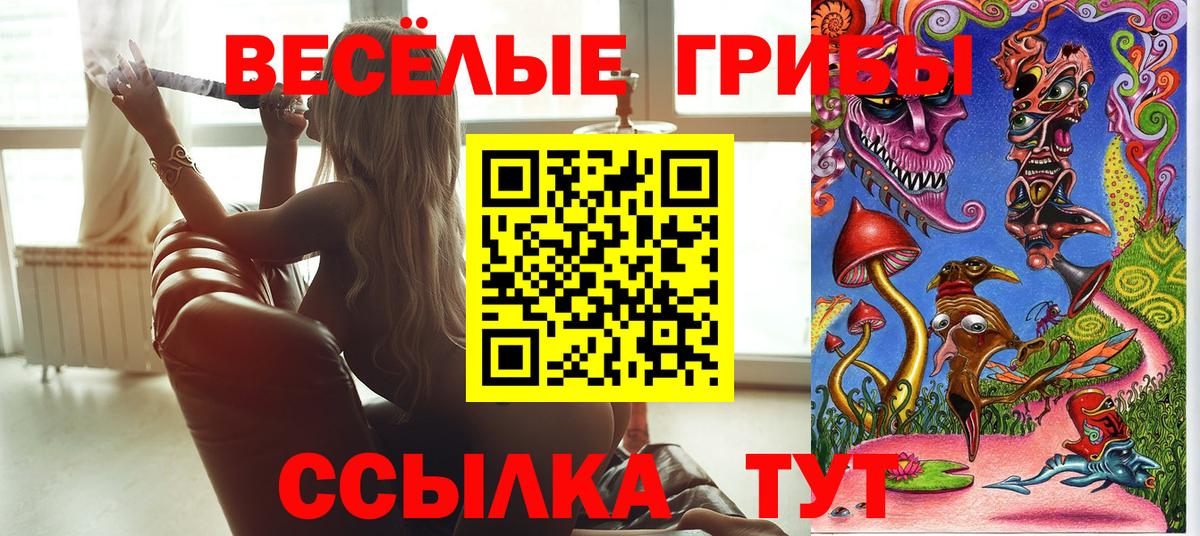 Галлюциногенные грибы Magic Shrooms Коммунар