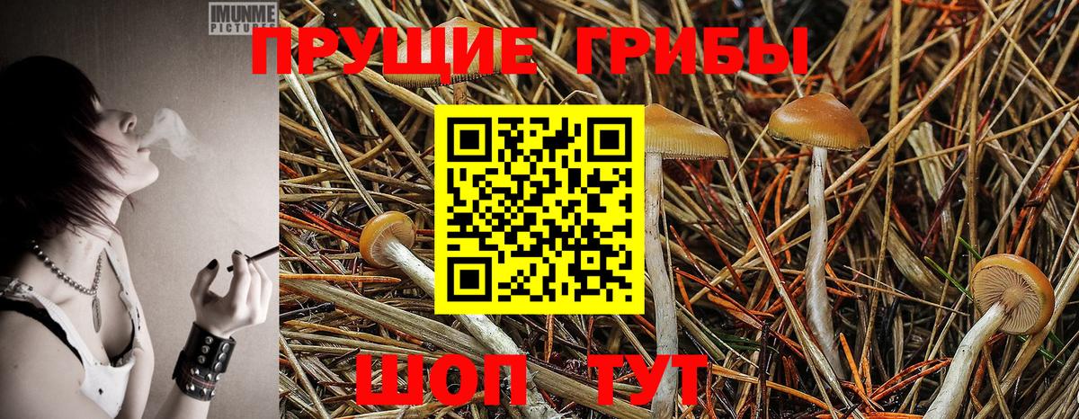 Галлюциногенные грибы Magic Shrooms  Вход с VPN  Коммунар 